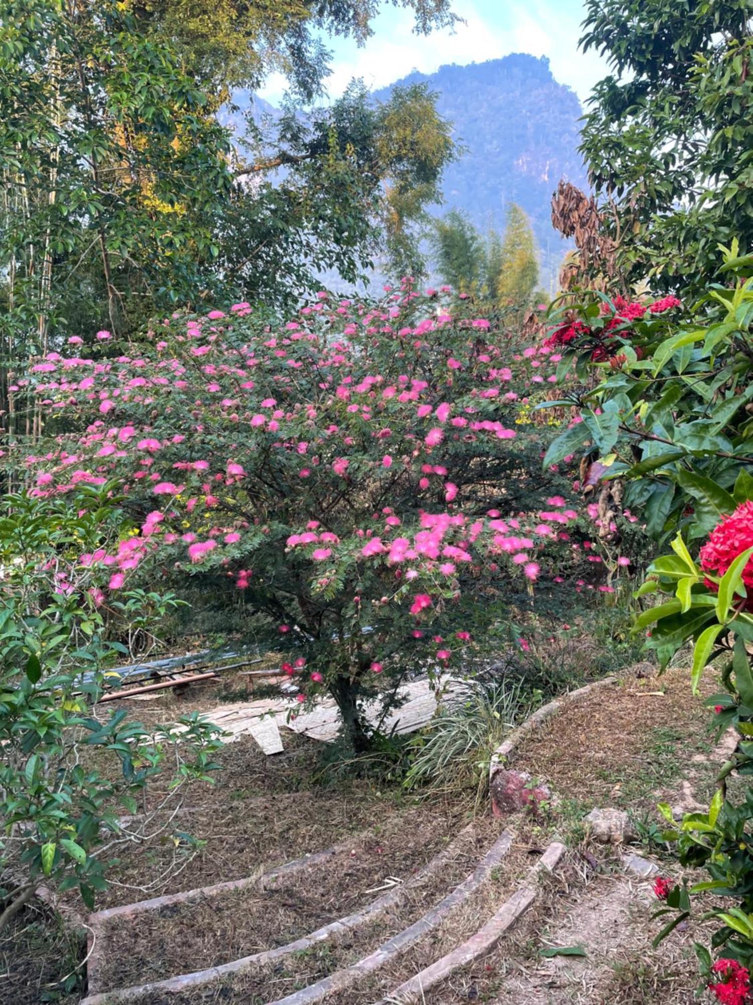 Chiang Dao Roundhouses Bagian luar foto