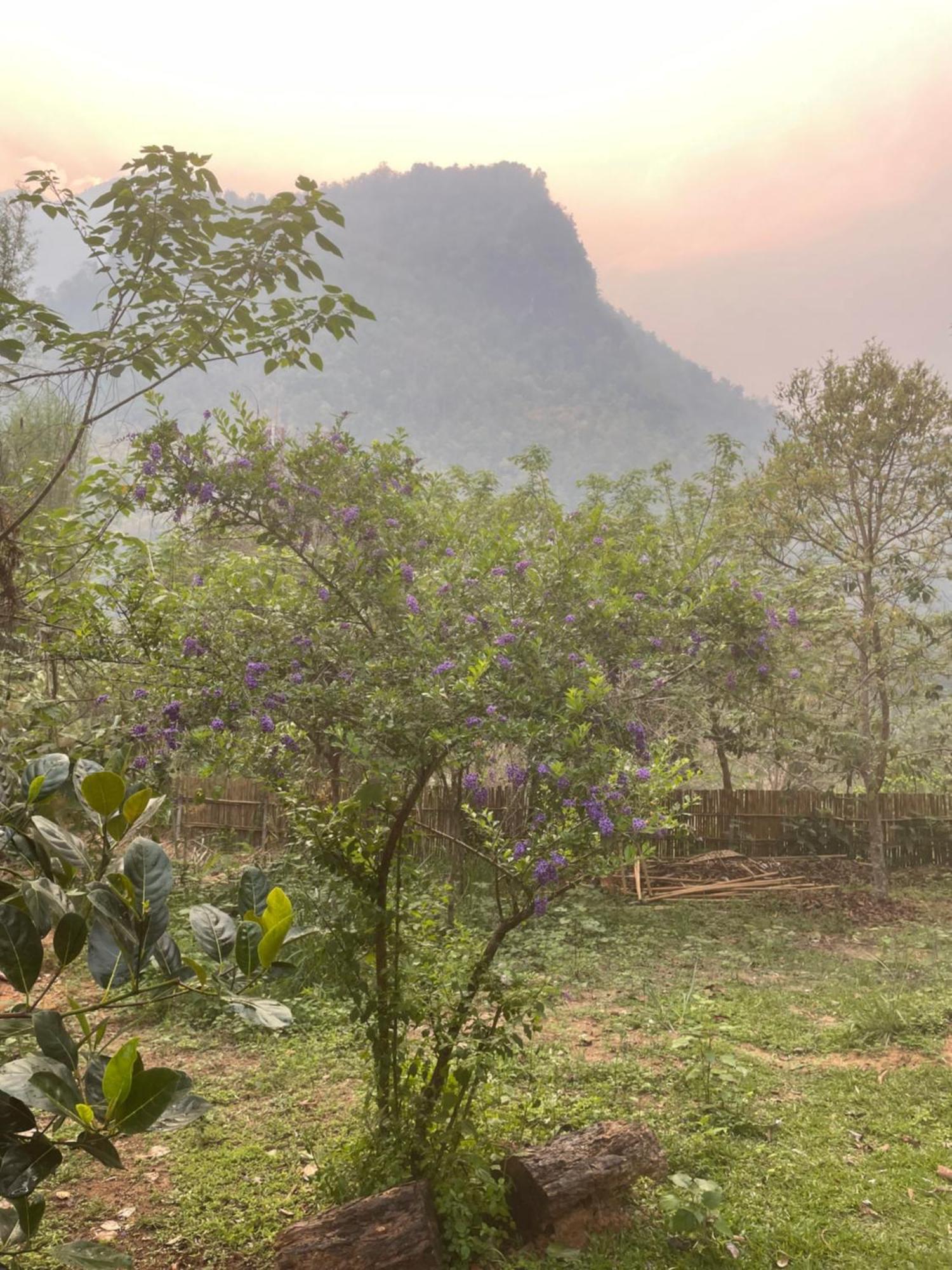 Chiang Dao Roundhouses Bagian luar foto
