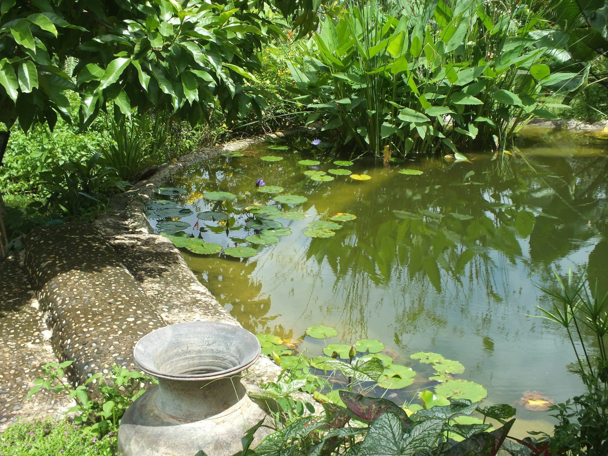 Chiang Dao Roundhouses Bagian luar foto
